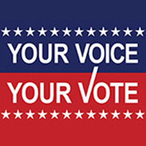 Your Voice/Your Vote