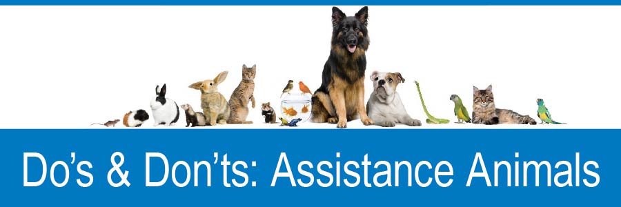 Line of animals/ "Do's & Don'ts: Assistance Animals"